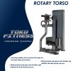 ROTARY TORSO